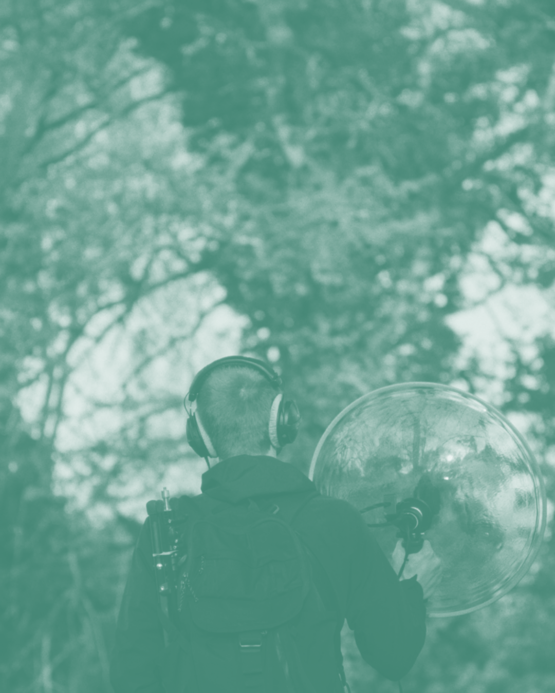 Tomkin - A paraître