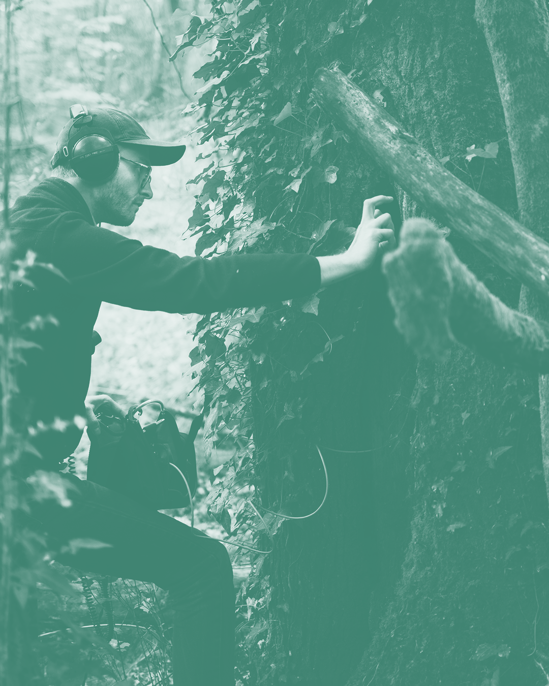 Tomkin - Les Nuits des Forêts